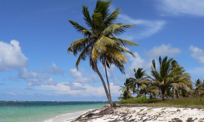 Salida Grupal Crucero por Islas del Caribe y Punta Cana Abril 2018