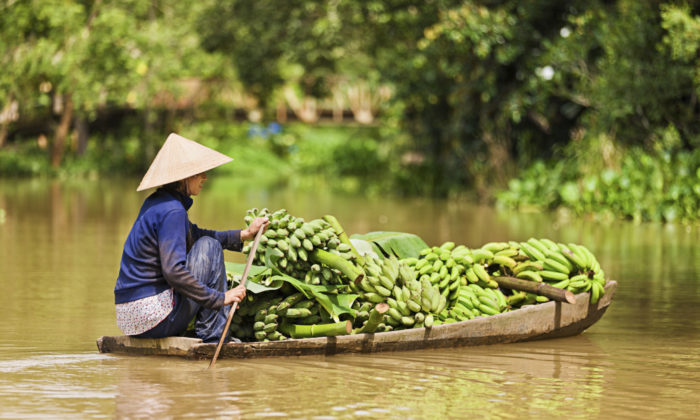 Salida Grupal Tailandia, Camboya, Laos y Vietnam Marzo 2018