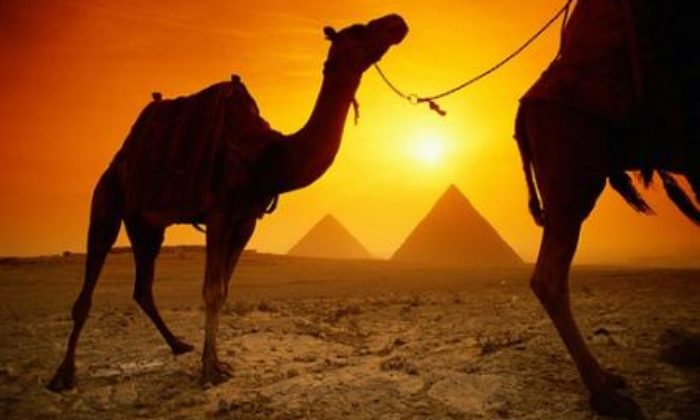 Salida Grupal El Cairo y Turquia Mayo 2018