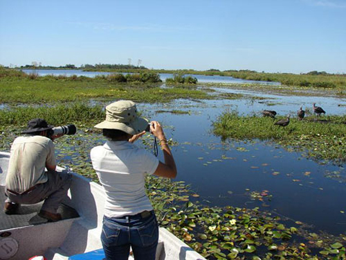 Aventurate en Esteros del Iberá